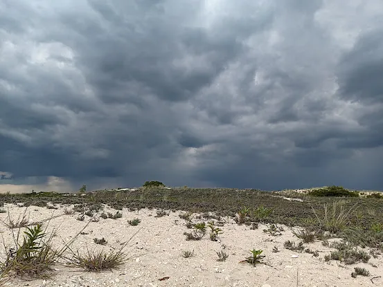 Short Beach