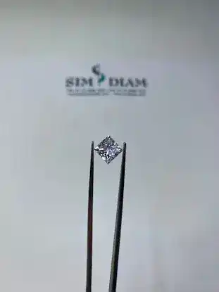 Sim NY Corp