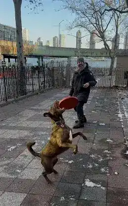 Simply Pawtastic