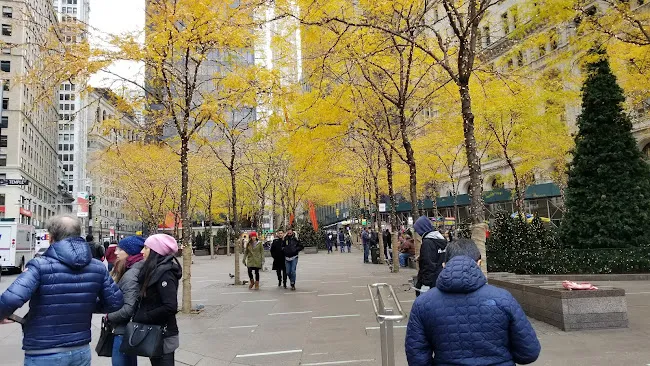 Sitting Park