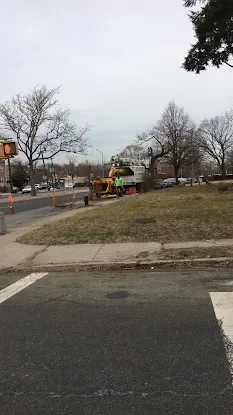 S&K Tree Services