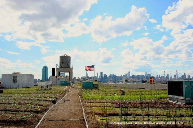 Sky Farm LIC by Variety Boys and Girls Club of Queens