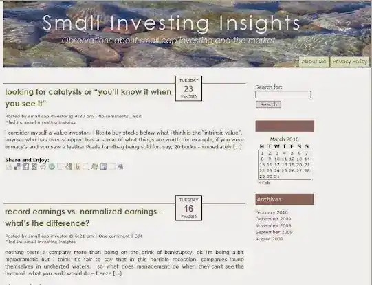 Small cap Investing Insights