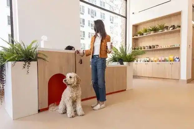 Small Door Veterinary - Gramercy