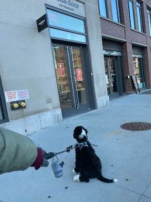 Small Door Veterinary - West Village