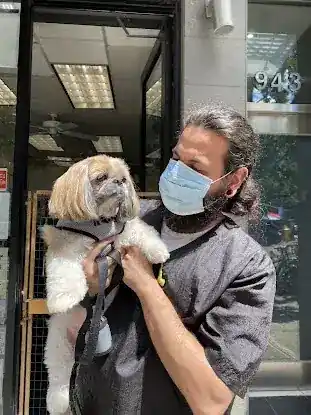 Snowball's Pets Grooming Salon