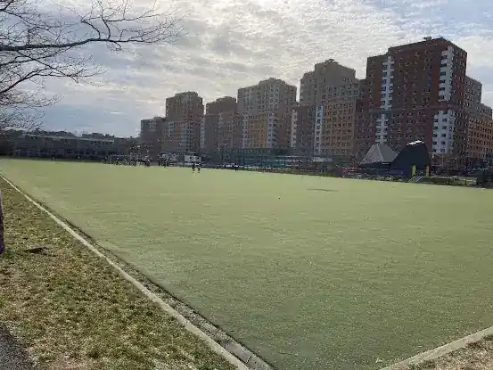 Soccer Field