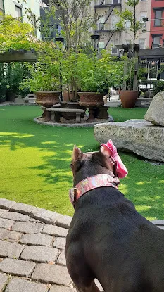 Soho Grand Private Dog Park