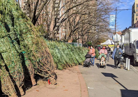 SoHo Trees: Christmas Trees and Market