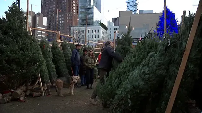 SoHo Trees: Christmas Trees and Market