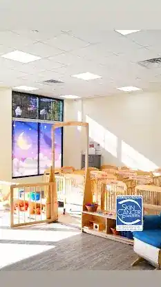 solar eclipse commercial and residential window film