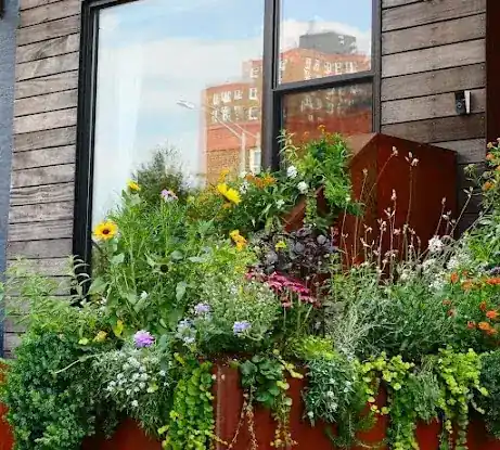 Sonny's Garden Designs