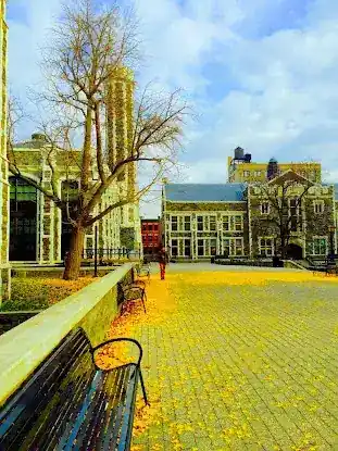 Sophie Davis School of Biomedical Education