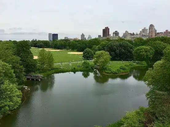 South Lawn / Quiet Lawn