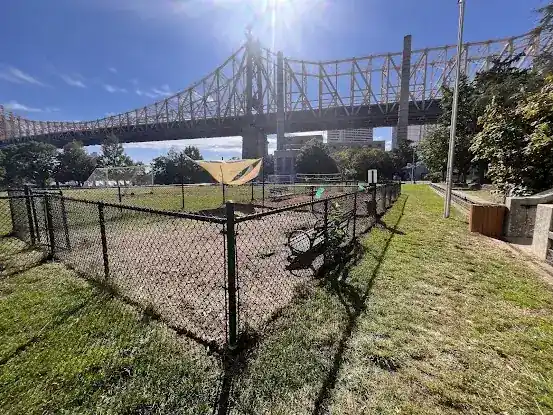 Southtown Dog Run