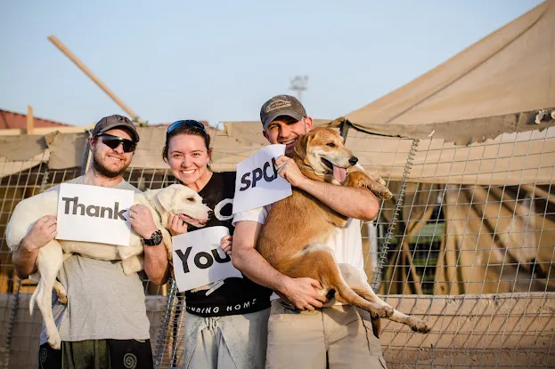 SPCA International