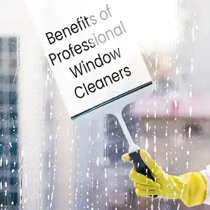 sprout cleaning corp.
