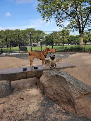 St. Mary's Dog Run