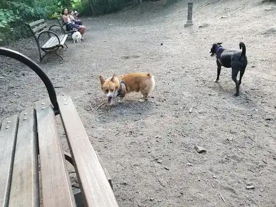 St. Nicholas Park Dog Run