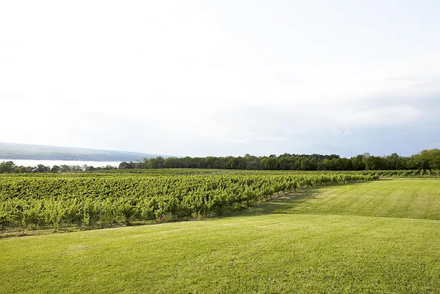 Standing Stone Vineyards