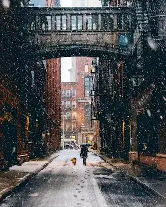 Staple Street Skybridge