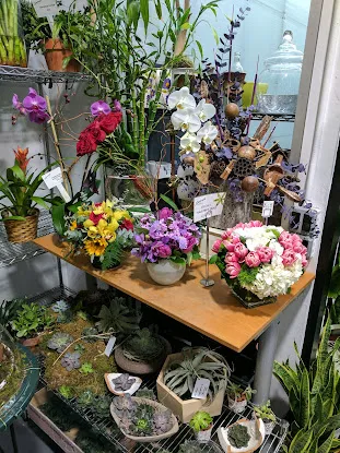 Starbright Floral Design