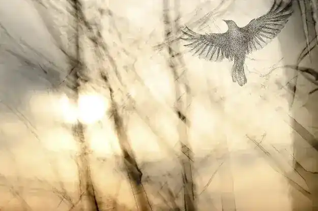 Stefan Hagen Photography