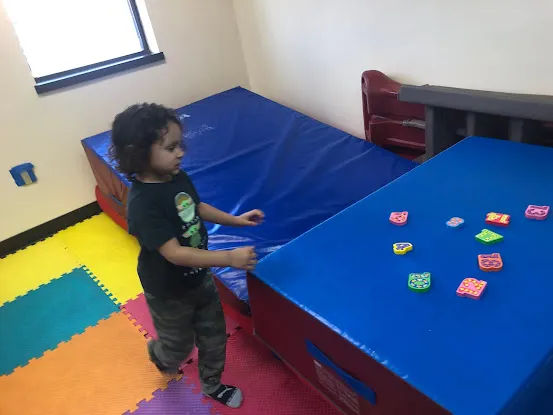 STEPS TO SUCCESS OCCUPATIONAL THERAPY