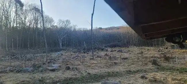 Steve Bott Logging