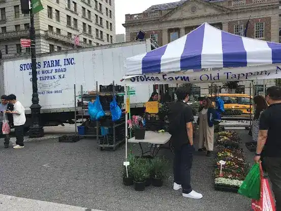 Stokes Farm at Union Square Greenmarket