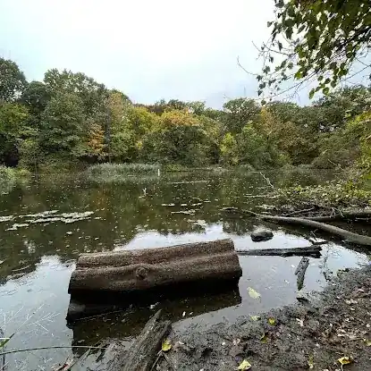 Strack Pond
