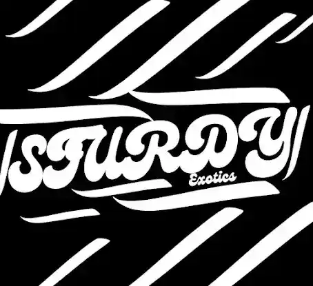 Sturdy exotic llc