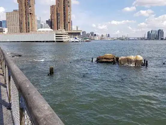 Stuyvesant Cove Park