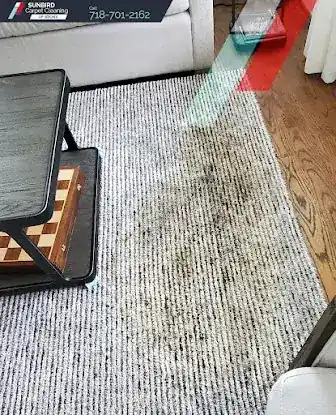 Sunbird Carpet Cleaning of Bronx
