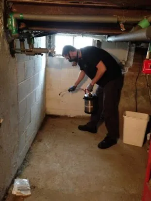 Superior Pest Elimination