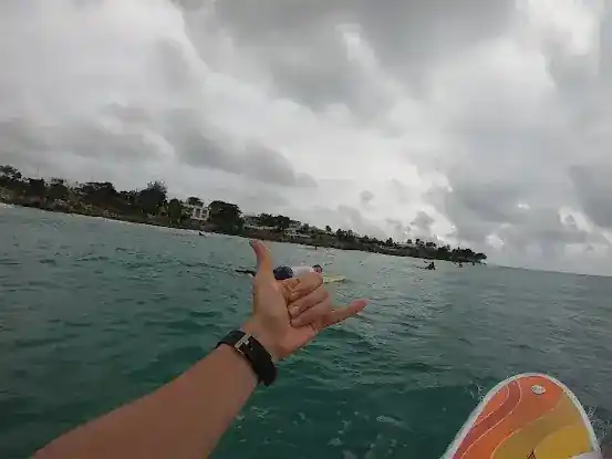 Surf Tribe Escapes