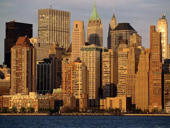 Surface Specialists of New York