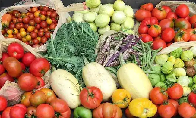 SV Produce Inc