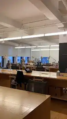 SVA MFA Design for Social Innovation