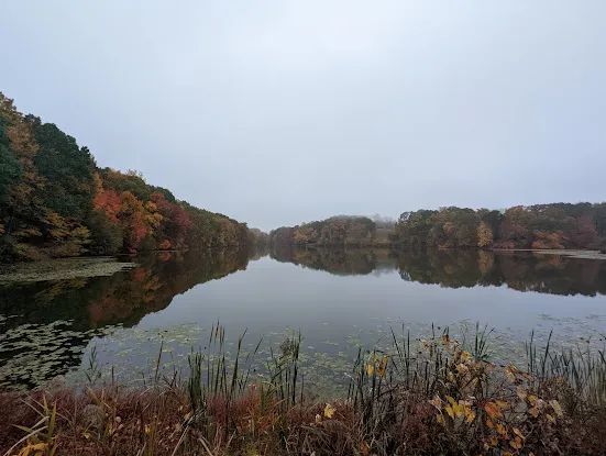Swan Lake in Rockefeller State Park Preserve
