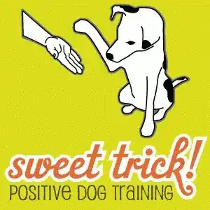 sweet trick! positive dog training