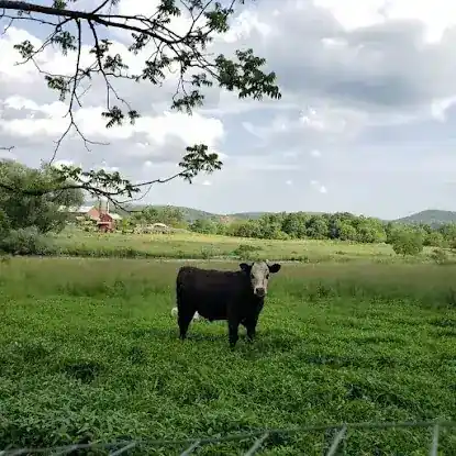 Sweetman's Farm Grass-fed Beef