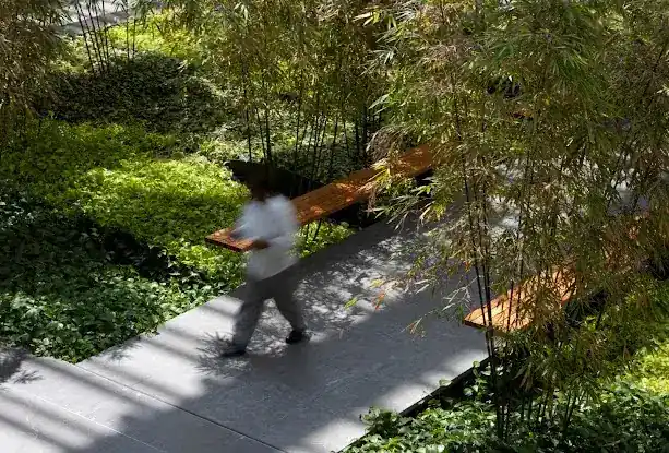 SYLA - Steven Yavanian Landscape Architecture