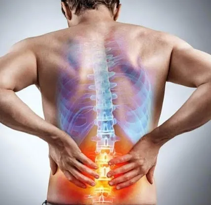 Synergy Wellness Chiropractic & Physical Therapy PLLC