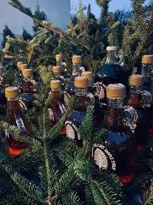 Tamarack Brook Farm Christmas Tree Pop-up