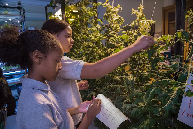 Teens for Food Justice