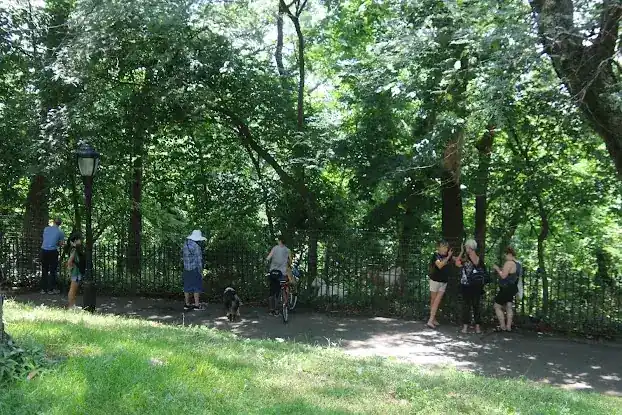 Tennis Innovators Riverside Park