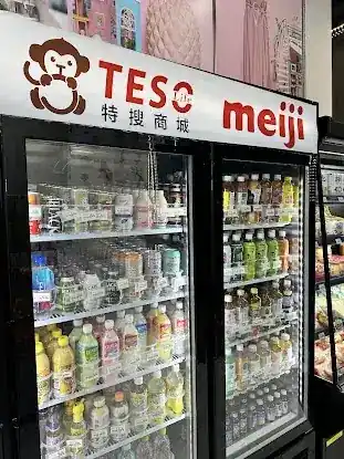 TESOmini
