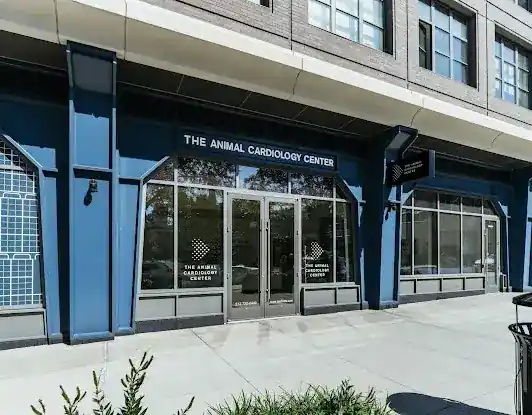 The Animal Cardiology Center