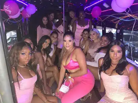 The Bronx Party Bus